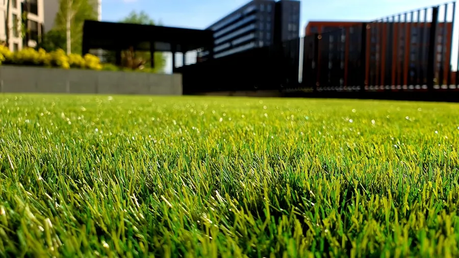 Level, uniformly green lawn running up to a clipped hedge.
